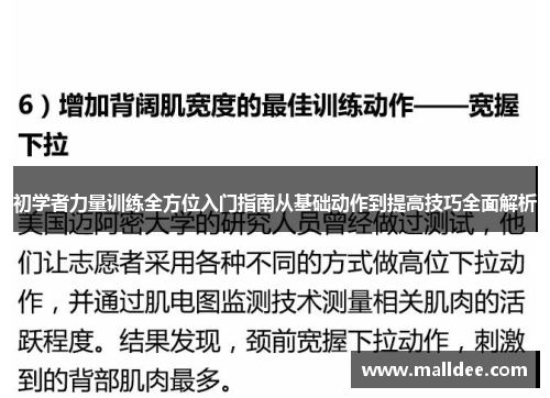 初学者力量训练全方位入门指南从基础动作到提高技巧全面解析