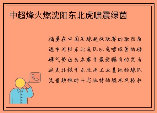 中超烽火燃沈阳东北虎啸震绿茵